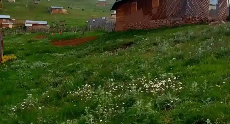 اقامتگاه بومگردی لیمرا