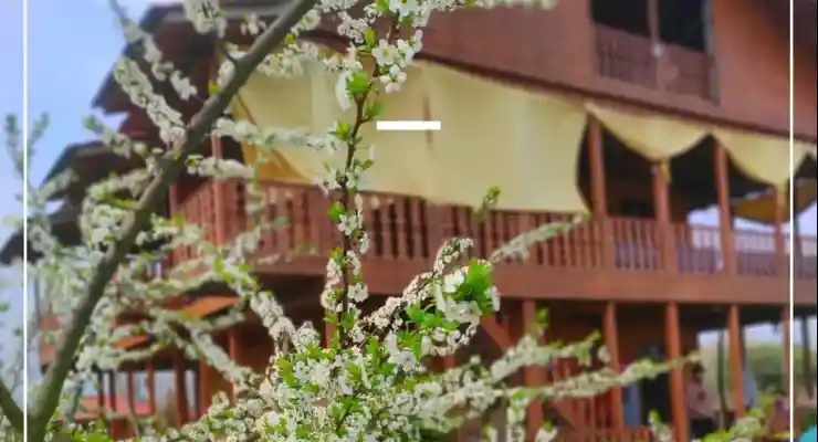 اقامتگاه بومگردی مارجان