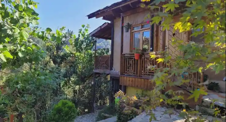 کلبه کلاسیک