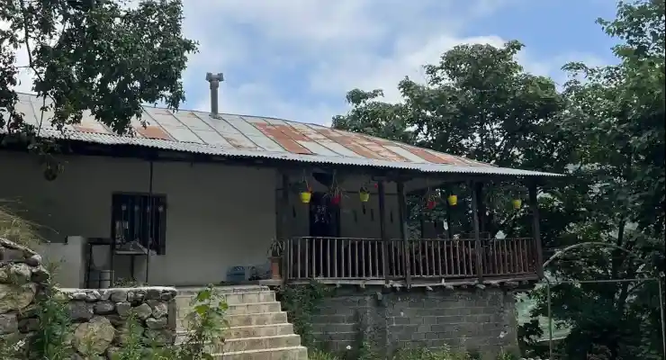 کلبه عمو وجی