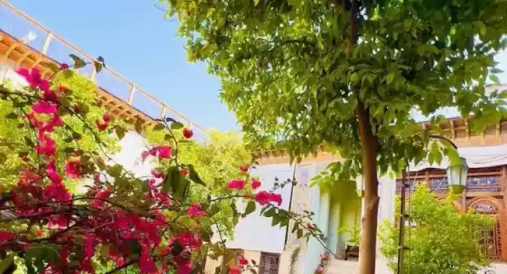 اقامتگاه بومگردی خانه شیراز