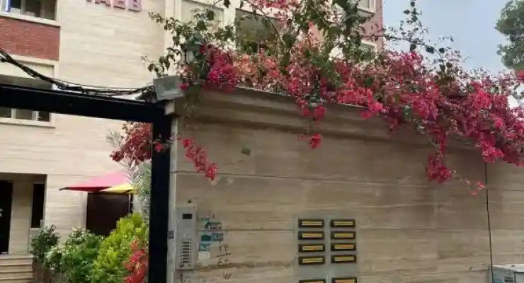 هتل آپارتمان تائب شیراز