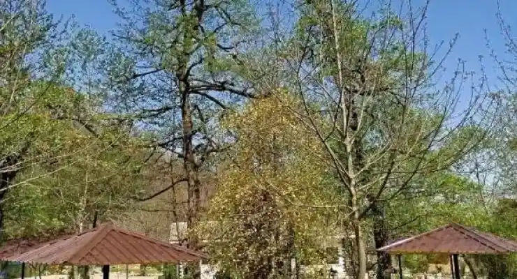 کلبه اکو کمپ سه هزار