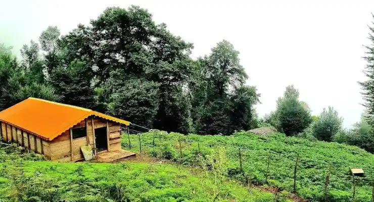 مجتمع گردشگری ییلاقی ماسال