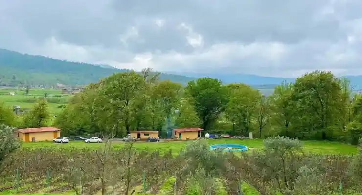 مزرعه گردشگری توسکا