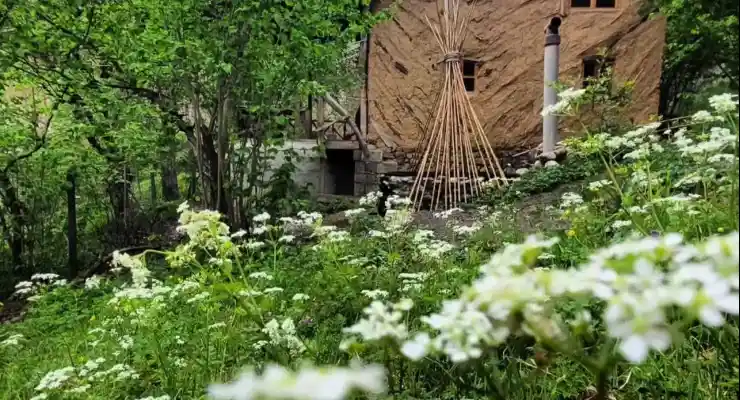 کلبه فیروزه ای