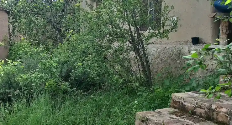 اقامتگاه بومگردی آرچه