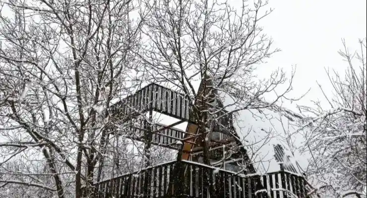 کلبه سوییسی آدلی