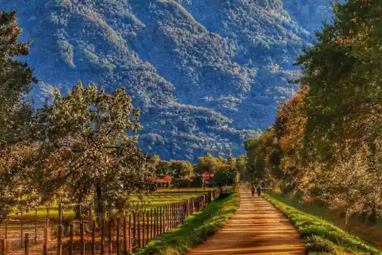 چطور طبیعت می‌تونه استرست رو کم کنه؟