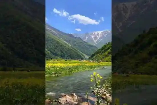 ویدیو کوتاه دشت دریاسر