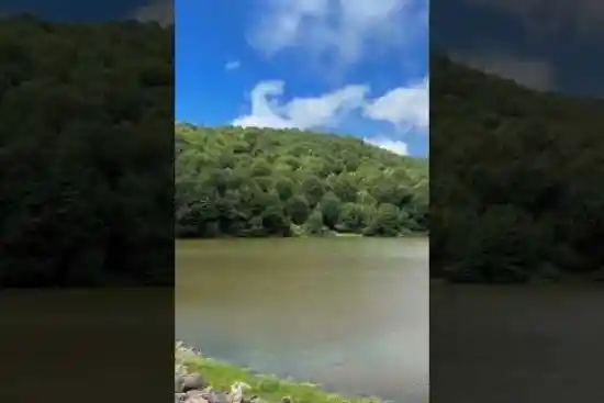 ویدیو کوتاه سد شوک