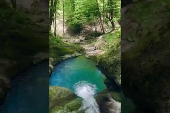 ویدیو کوتاه هفت حوضچه پره سر