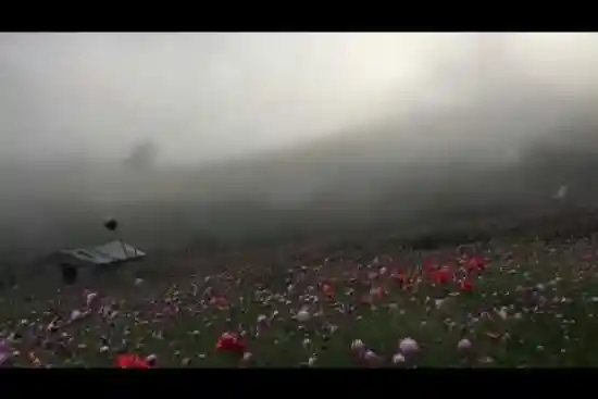 ویدیو کوتاه دشت سلانسر