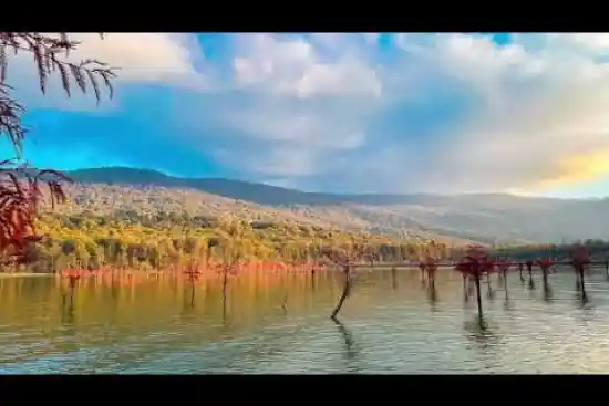 ویدیو کوتاه دریاچه الندان