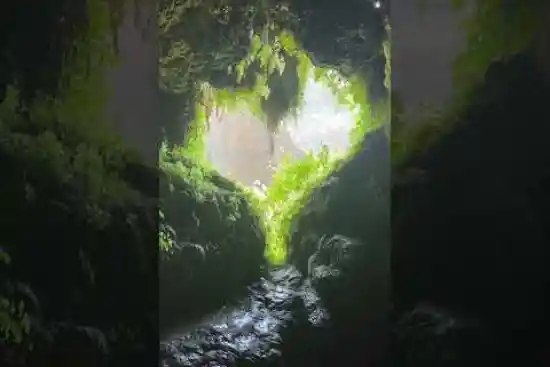 ویدیو کوتاه تنگه لیموها