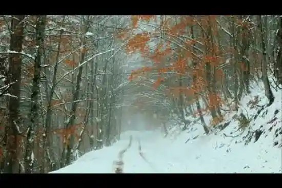 ویدیو کوتاه جاده اسالم خلخال