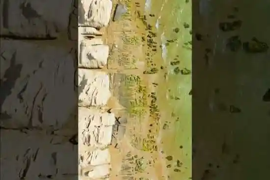 ویدیو کوتاه ساحل مکسر