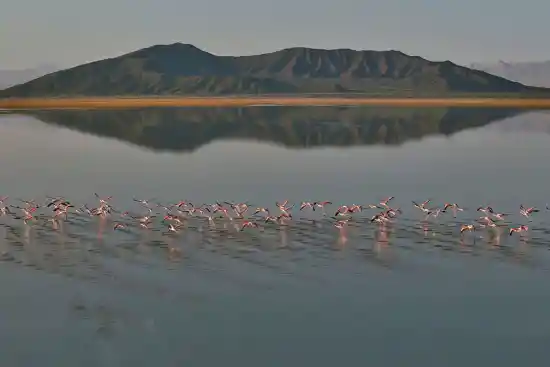 باتلاق گاوخونی