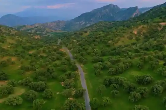 روستای المور