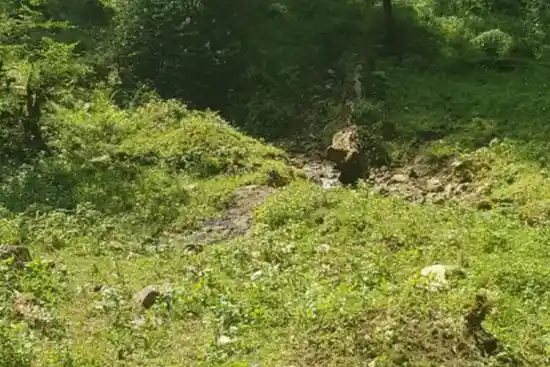 چشمه وسه وشا