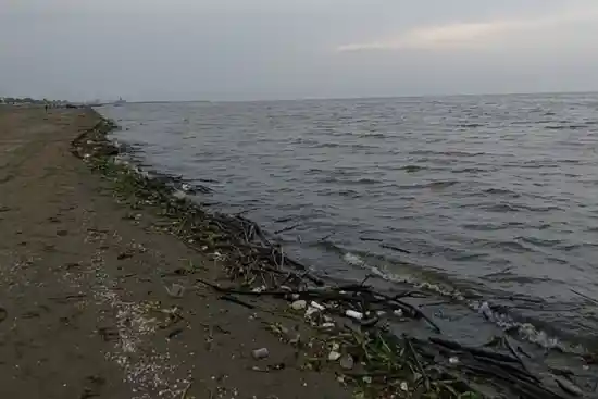 ساحل بندر انزلی