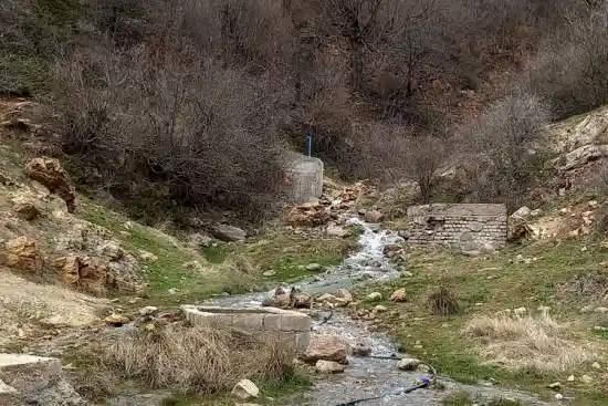 چشمه شاه پسند