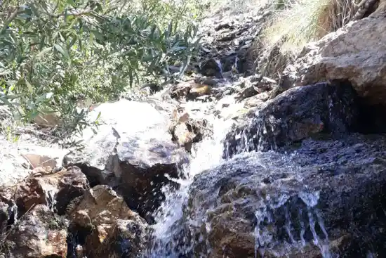 چشمه پیر میشی