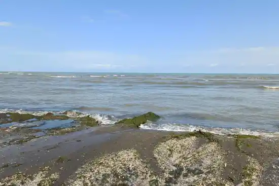 ساحل لوندویل