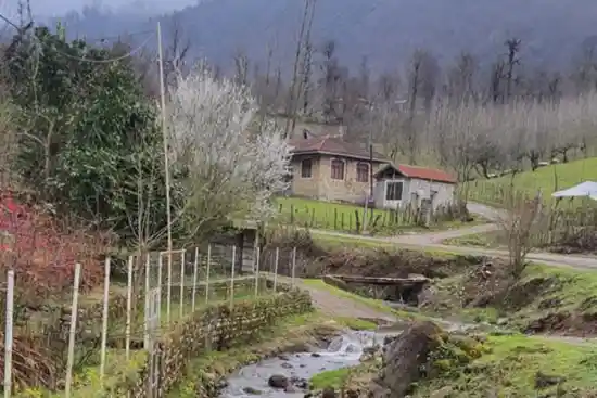 ییلاق رزین دول