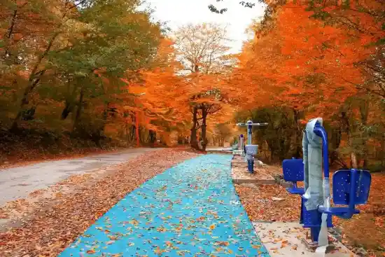 پارک جنگلی تلار