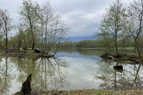 دریاچه جوربند