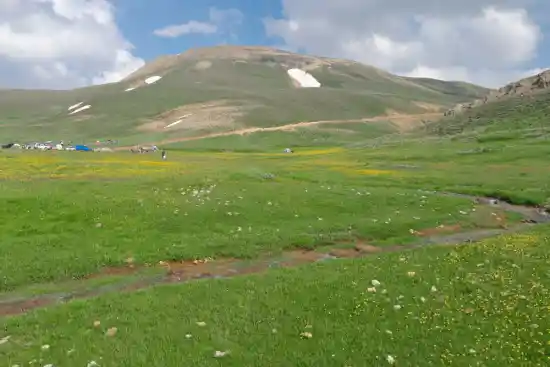 دشت ارشد چمن