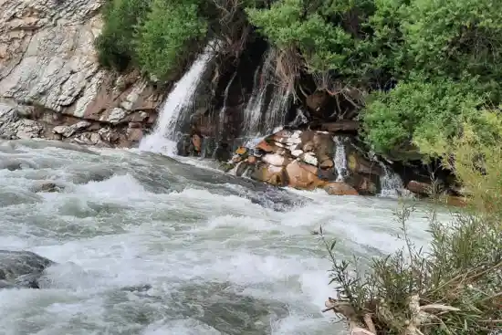 چشمه بیدملون