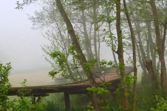 پل چوبی کیسم