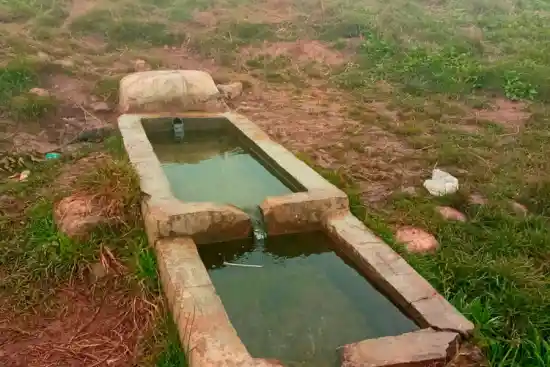 چشمه باساک