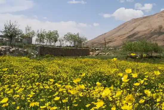 چشمه تلدون