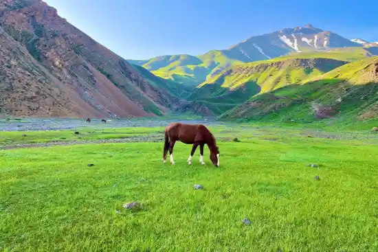 دشت دریوک