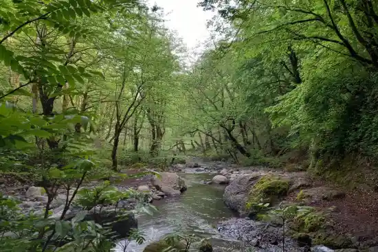 بهشت دره سی