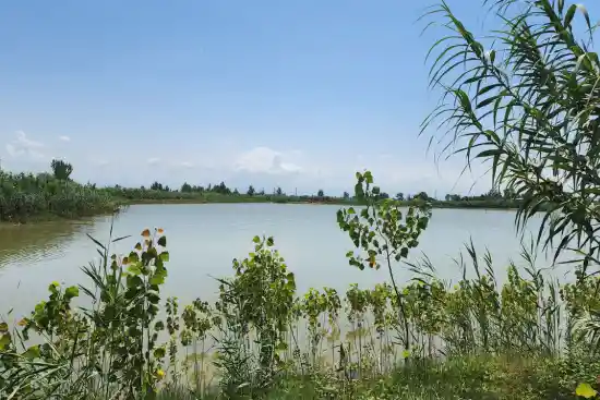 تالاب خنجری