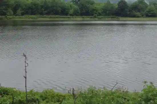 دریاچه پسکوت