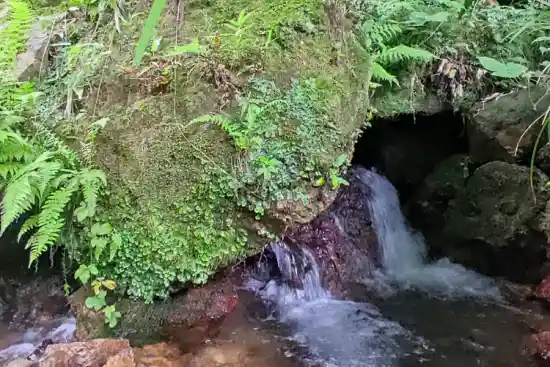 چشمه اورجین