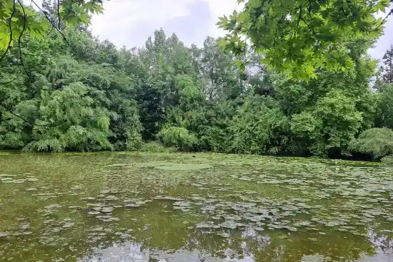 دریاچه باغ گیاهشناسی شصت کلا