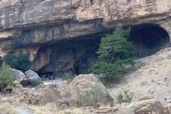 زیارت سیجون