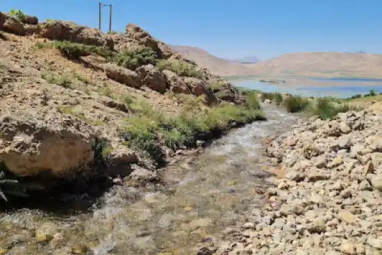 چشمه شیرکشته