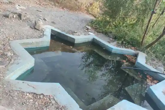 چشمه مروارید