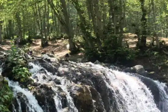 سرچشمه گت او