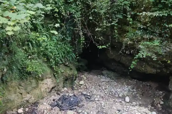 چشمه تاریک غریب محله