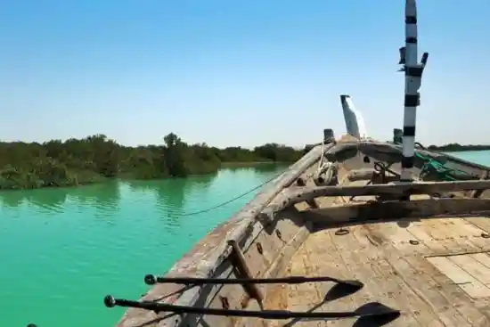 جنگل حرا دهخدا