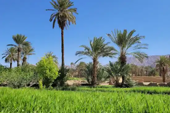 روستای اصفهک