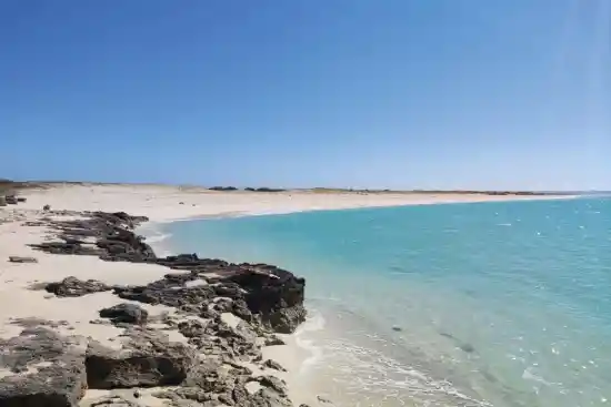 جزیره خارکو